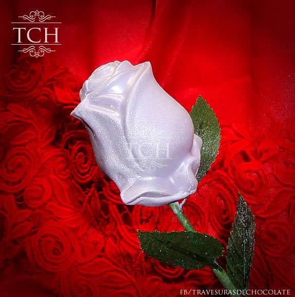 Rosa 3D 05